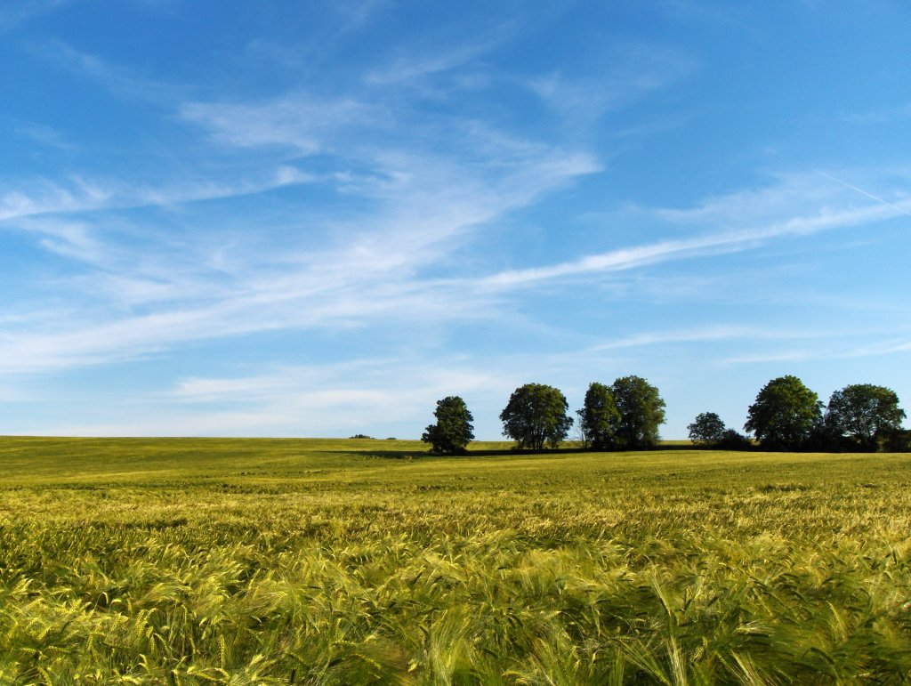 Si on allait se balader en vélo électrique dans le Vexin ?