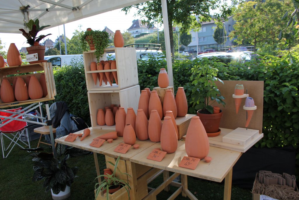 Les ollas, des pots naturels pour irriguer les plantes