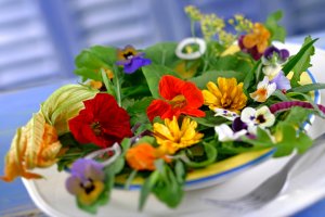 Salade de fleurs- Capucines,pensées,courgettes,soucis