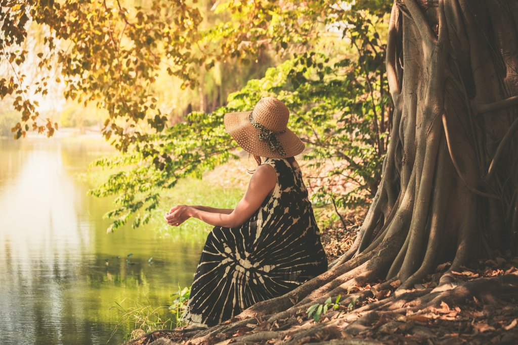 Méditation : les « arbres de vie »