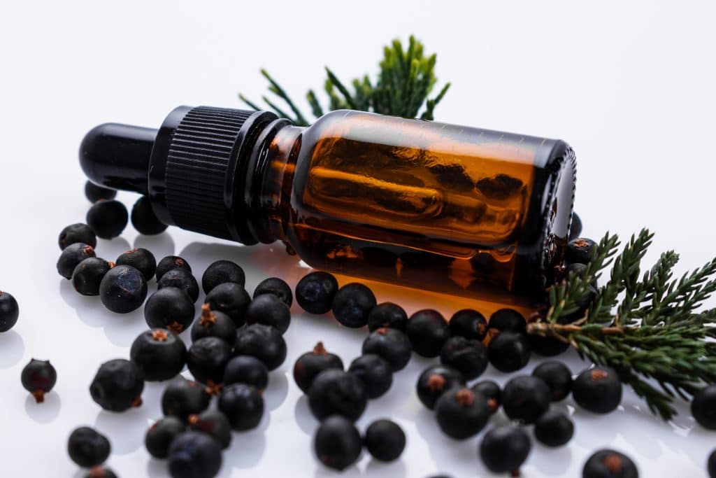 Huiles essentielles : le genévrier, tonique par excellence