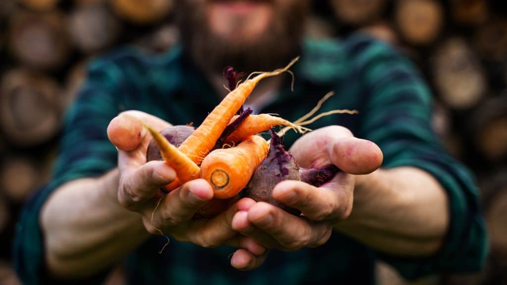 Gironde : Xavier Ducos, agriculteur bio et heureux de l’être