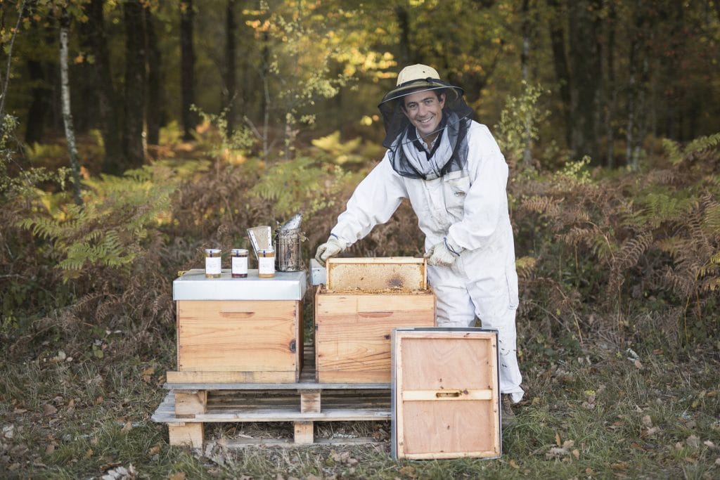 Gironde : l’Essaim de la reine produit aussi du miel en ville
