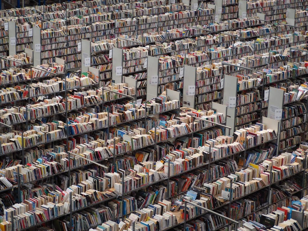 Seconde main : RecycLivre donne une nouvelle vie aux livres