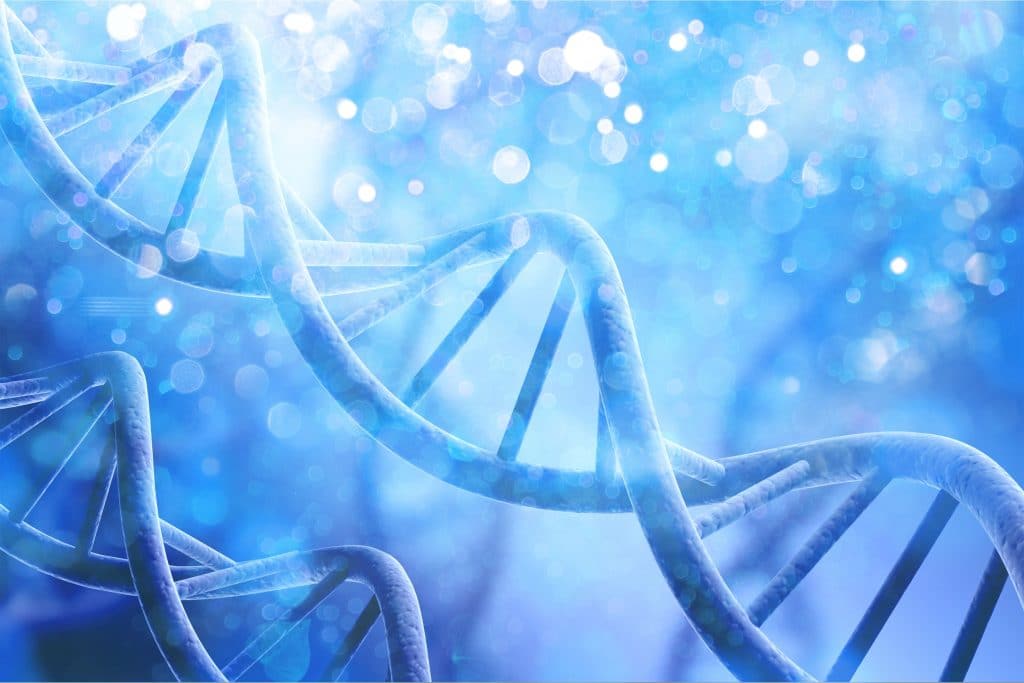 Science : comment la vie est-elle apparue sur Terre ?