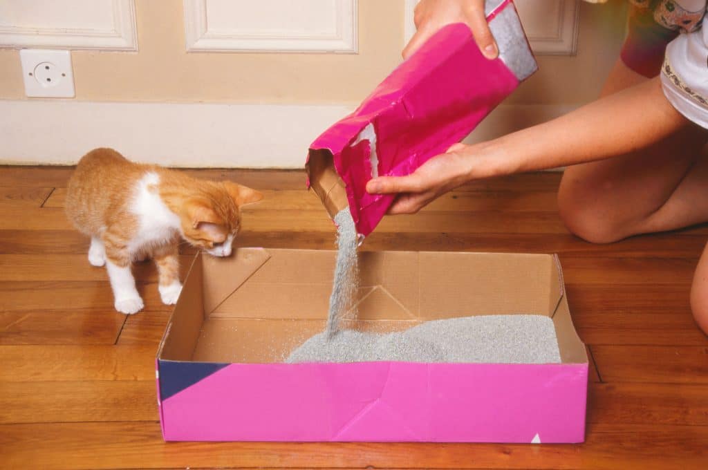 Comment peut-on réduire le méthane dans l’atmosphère ?