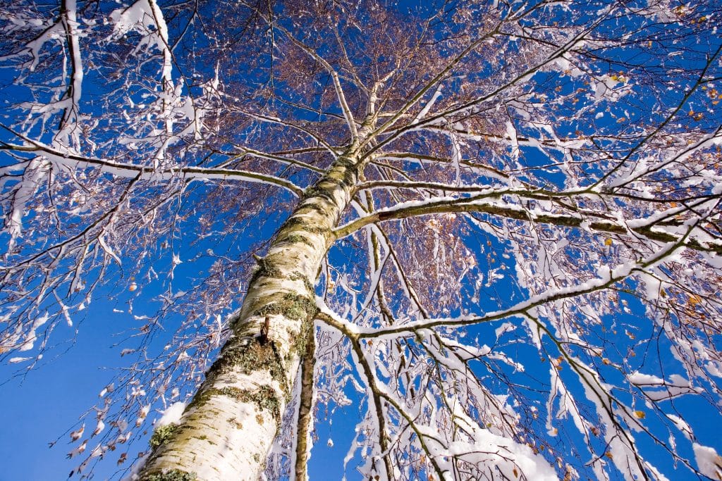 L’hiver, une saison pour se chouchouter et retrouver le moral