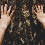 Man and woman Arms touching a Tree In a Forest, showing Love and Care for Nature and Environment of Earth. Couple having romantic autumn day in forest. Hugging tree. Close up on hands of couple.