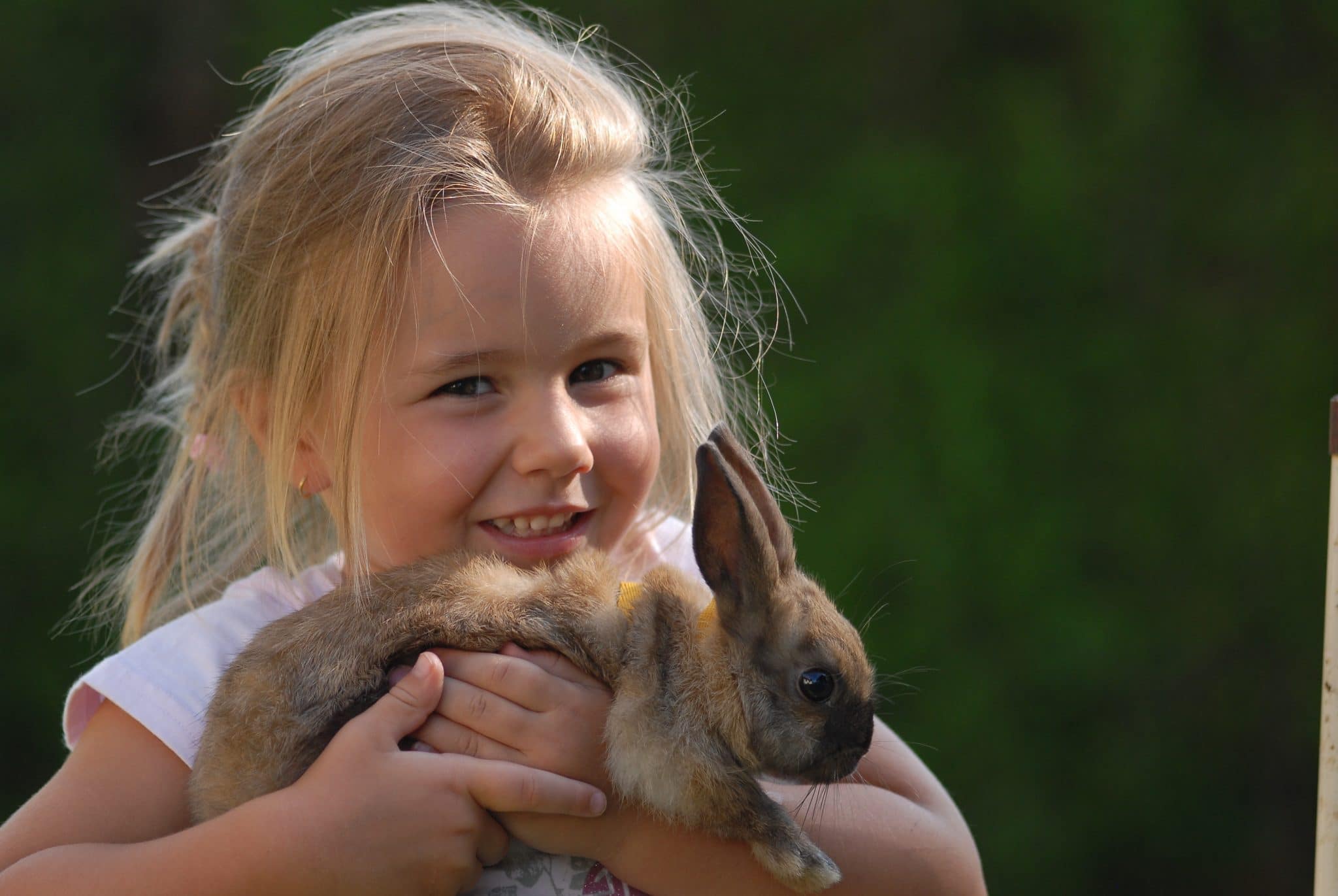 Châtillon-sur-Seine : éveiller et soigner avec la médiation animale 