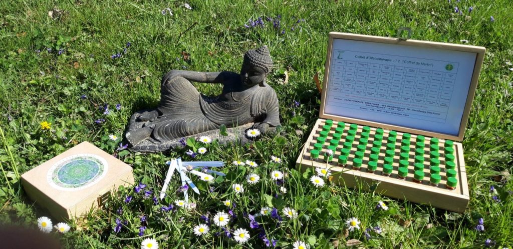 Bien-être : l’olfactothérapie, la science de l’odorat