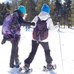 Randonnée solidaire avec handicapés en fauteuil roulant et aveugles sur la neige avec des raquettes et des patins en montagne en hiver