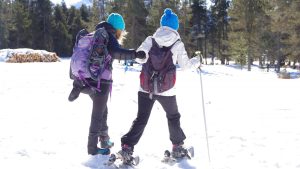 Randonnée solidaire avec handicapés en fauteuil roulant et aveugles sur la neige avec des raquettes et des patins en montagne en hiver