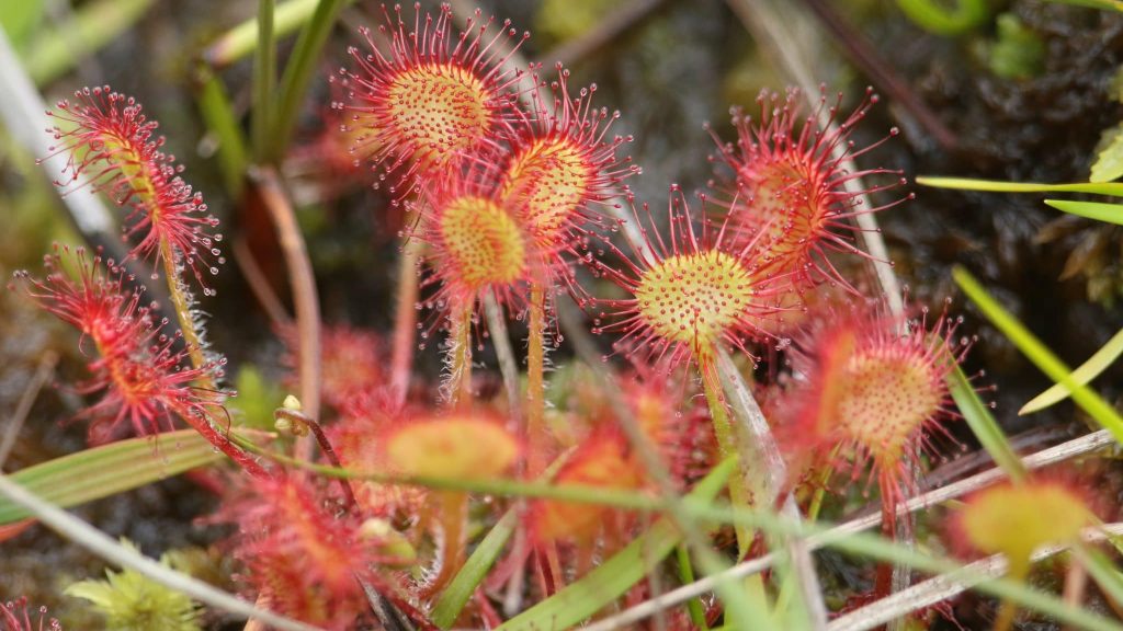 Livre : « Fragments de science », cabinet de curiosités que vous allez adorer