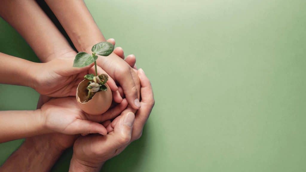 Convention : les entreprises se mobilisent pour le climat