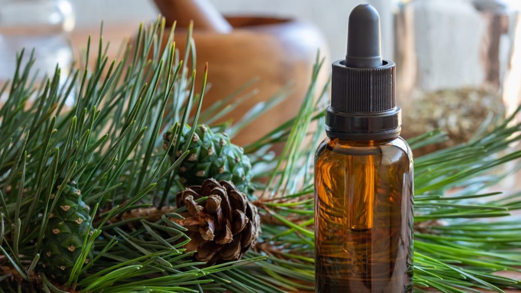 Huiles essentielles : le pin sylvestre, un cortison-like naturel