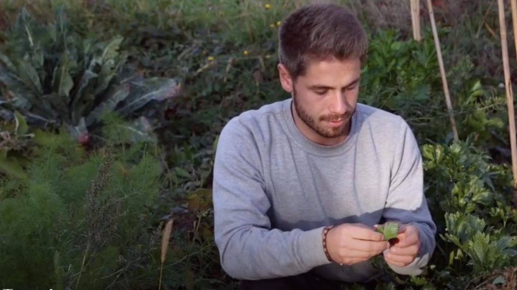 L’Institut de Tramayes : 3 ans pour former aux métiers de la ruralité