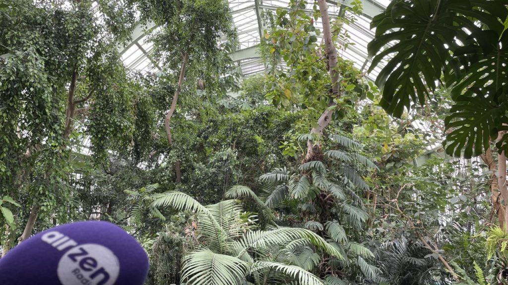 Au Jardin des Plantes de Paris, une véritable jungle sert la science 