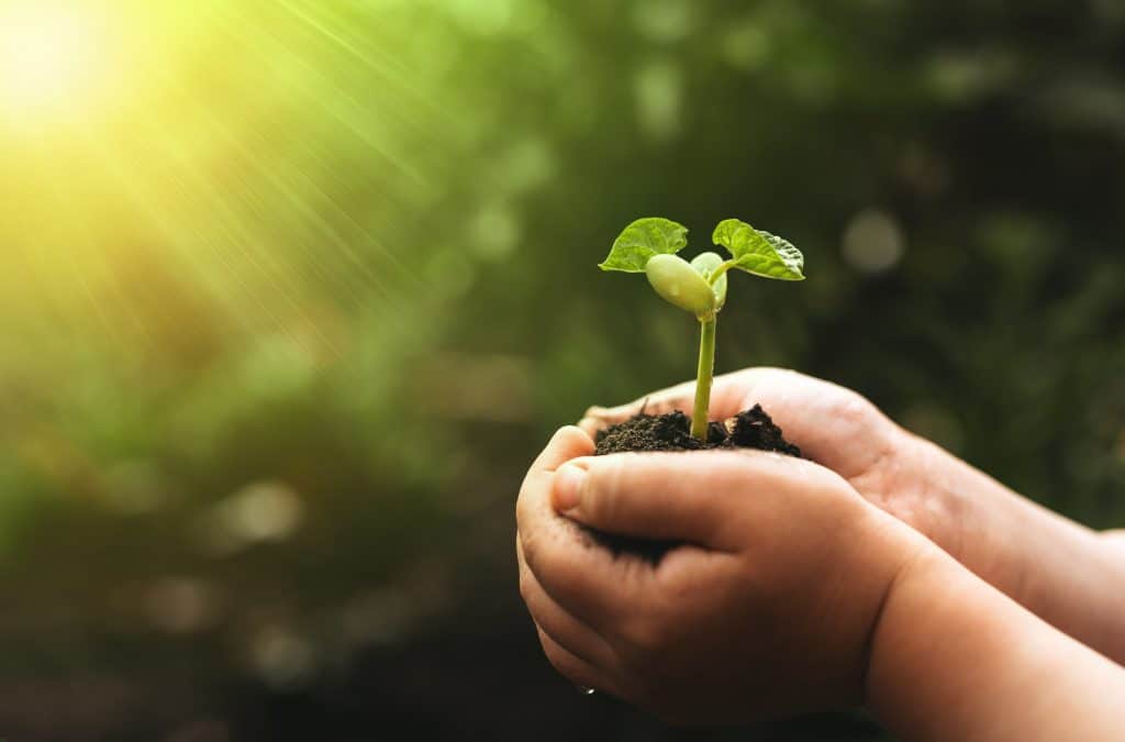 ToukTouk : l’univers ludo-éducatif qui mêle environnement et diversité