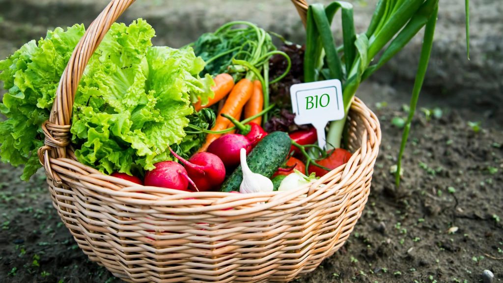 Ecocert : comment fonctionne l’organisme qui labellise le bio ?