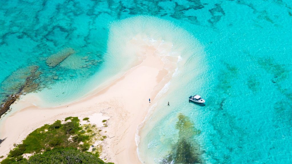 Les lagons de Nouvelle-Calédonie, un trésor de biodiversité