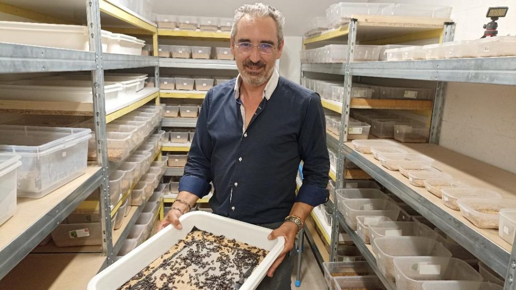 Bordeaux : Metaver élève des insectes en milieu urbain