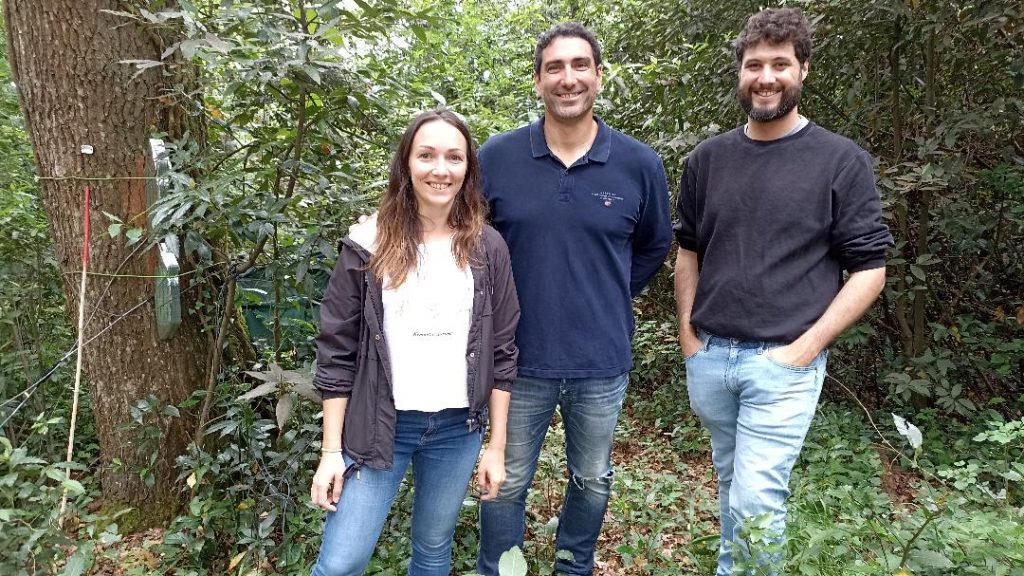 Près de Bordeaux, des chercheurs scrutent une forêt urbaine