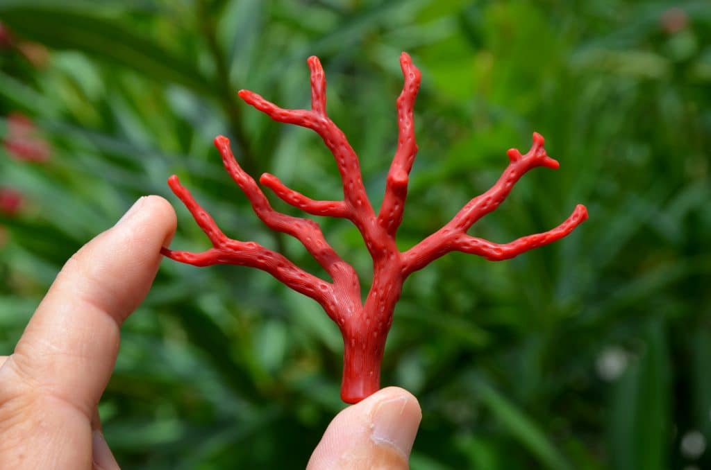 Marseille : un atelier sublime le corail tout en le respectant