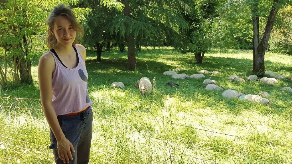 Près de Bordeaux, Suzanne Lefort est bergère urbaine