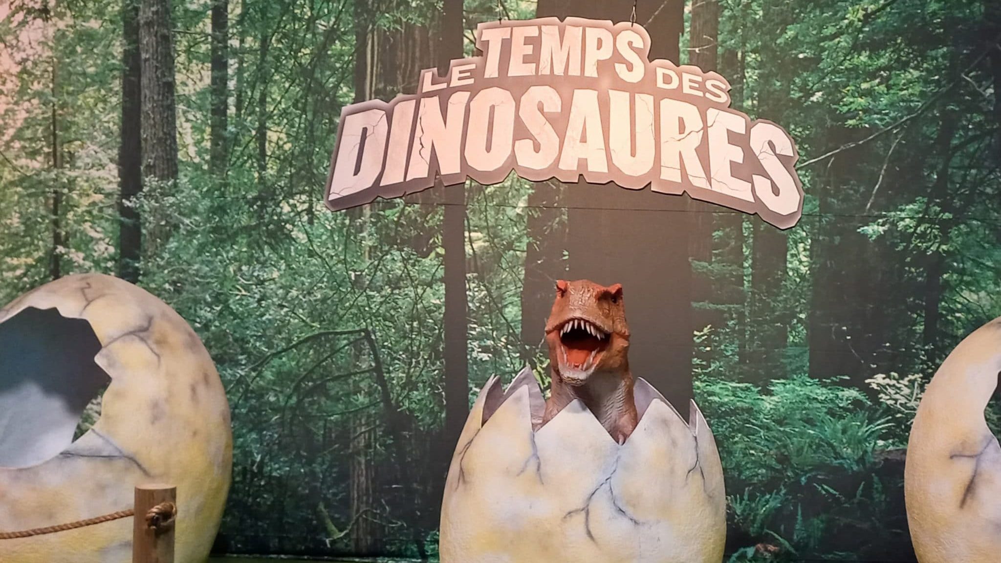 Le temps des dinosaures : rencontre avec des visiteurs