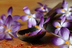 Gestion du stress : et si la réponse était dans les plantes ?