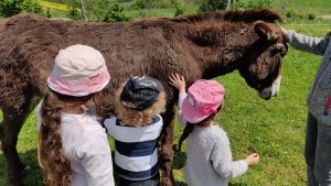 Dormir avec les ânes à la ferme du HItton dans le Gers