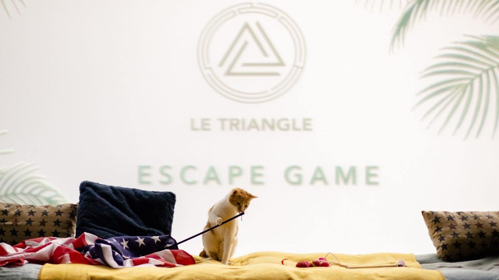 Paris : on a testé la Planète des chats, un nouvel escape game