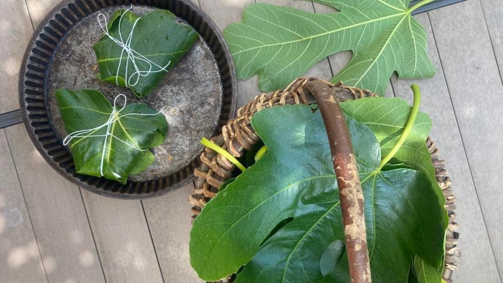 La feuille de figuier, reine des terres méditerranéennes