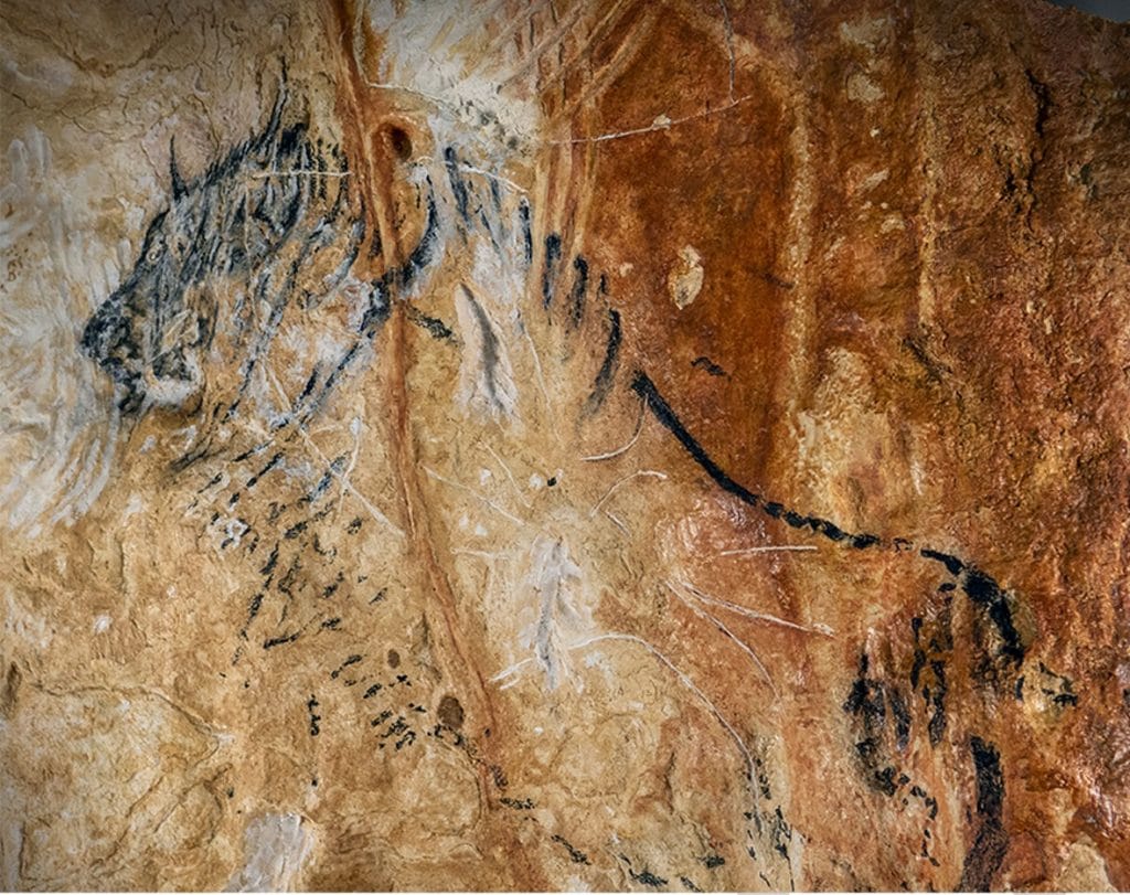 Marseille : la réplique de la grotte Cosquer enfin ouverte au public