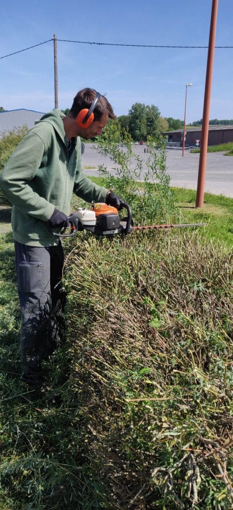 Lier sa passion à son métier : du journalisme aux espaces verts 