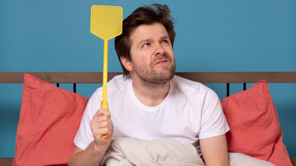 Comment éloigner mouches et moustiques de façon saine et écolo ?