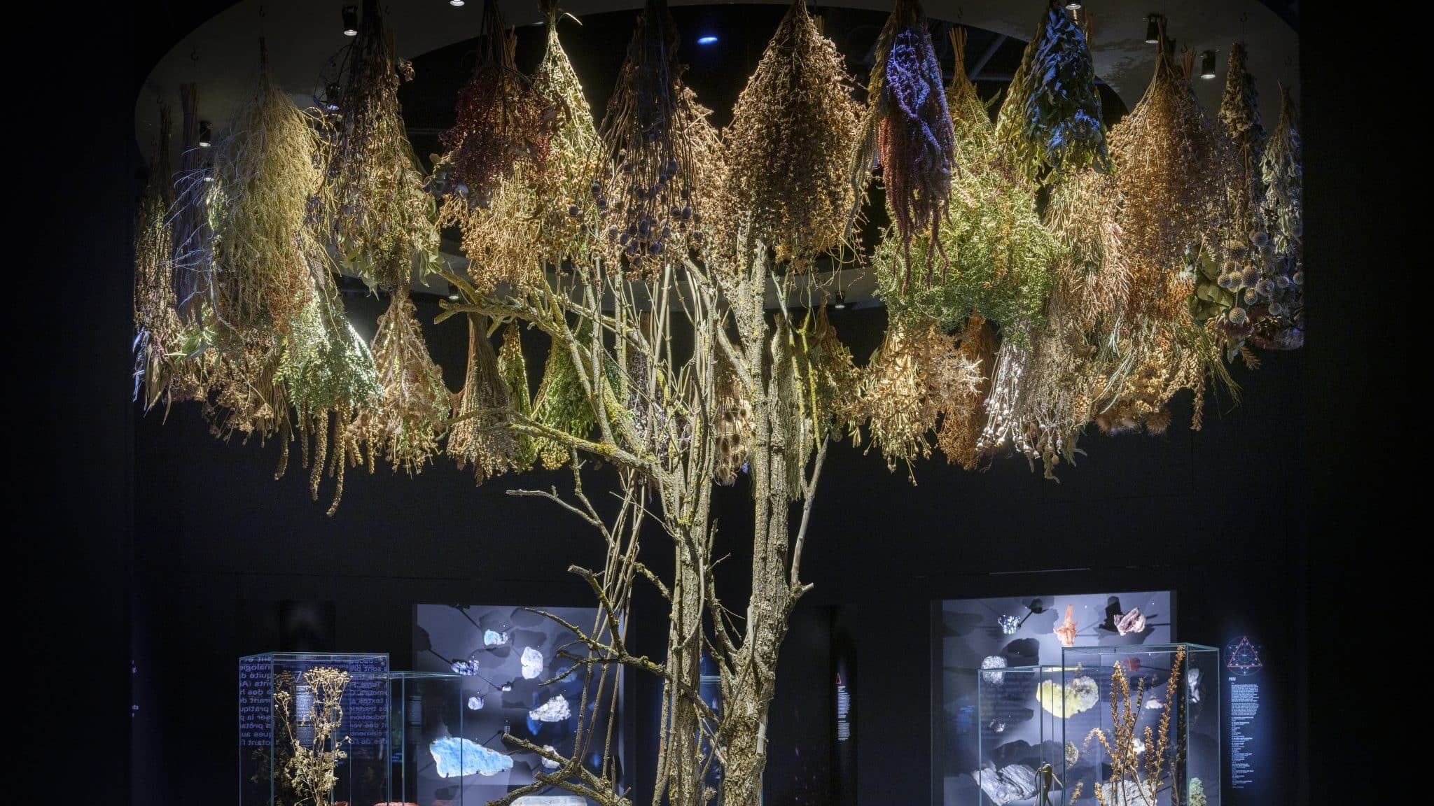 Lyon : l'exposition Magique et ses 3000 ans d'histoire de la magie