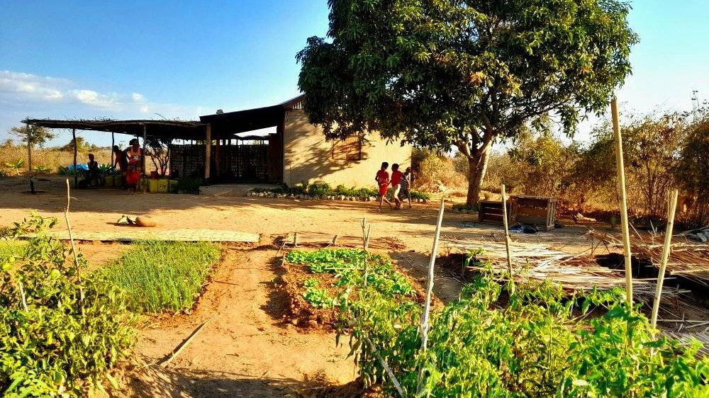 L’agriculture biologique, un soutien pour l’autosuffisance malgache