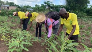Quatre haïtiens surveillent la qualité des plantations (DR/Haïti En Vie)