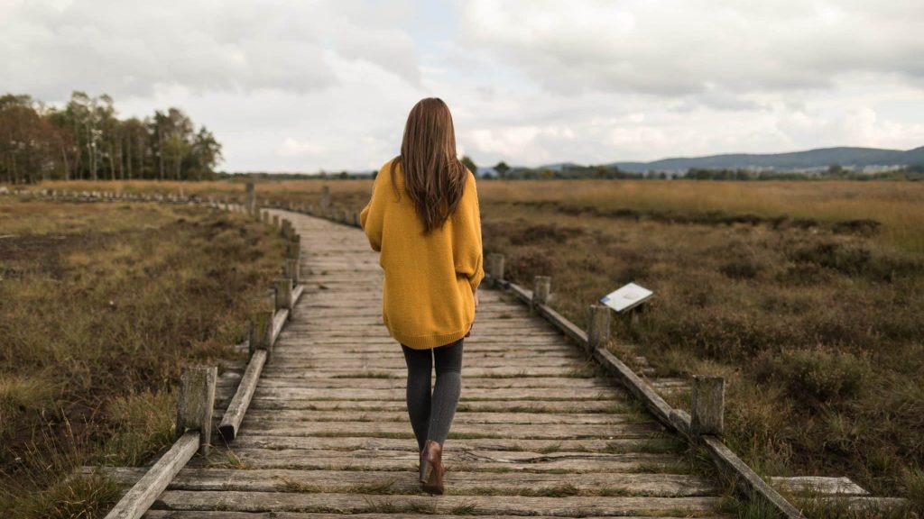 Connaître et entretenir son cerveau pour en obtenir le meilleur