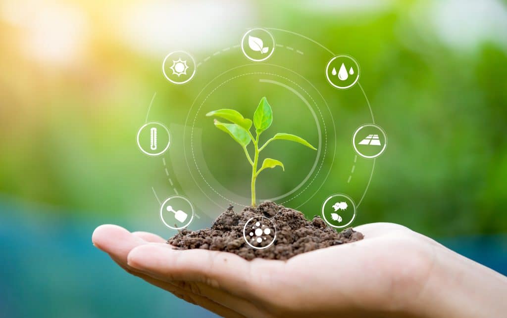 Éducation : sur Superprof.fr trouvez un coach en développement durable