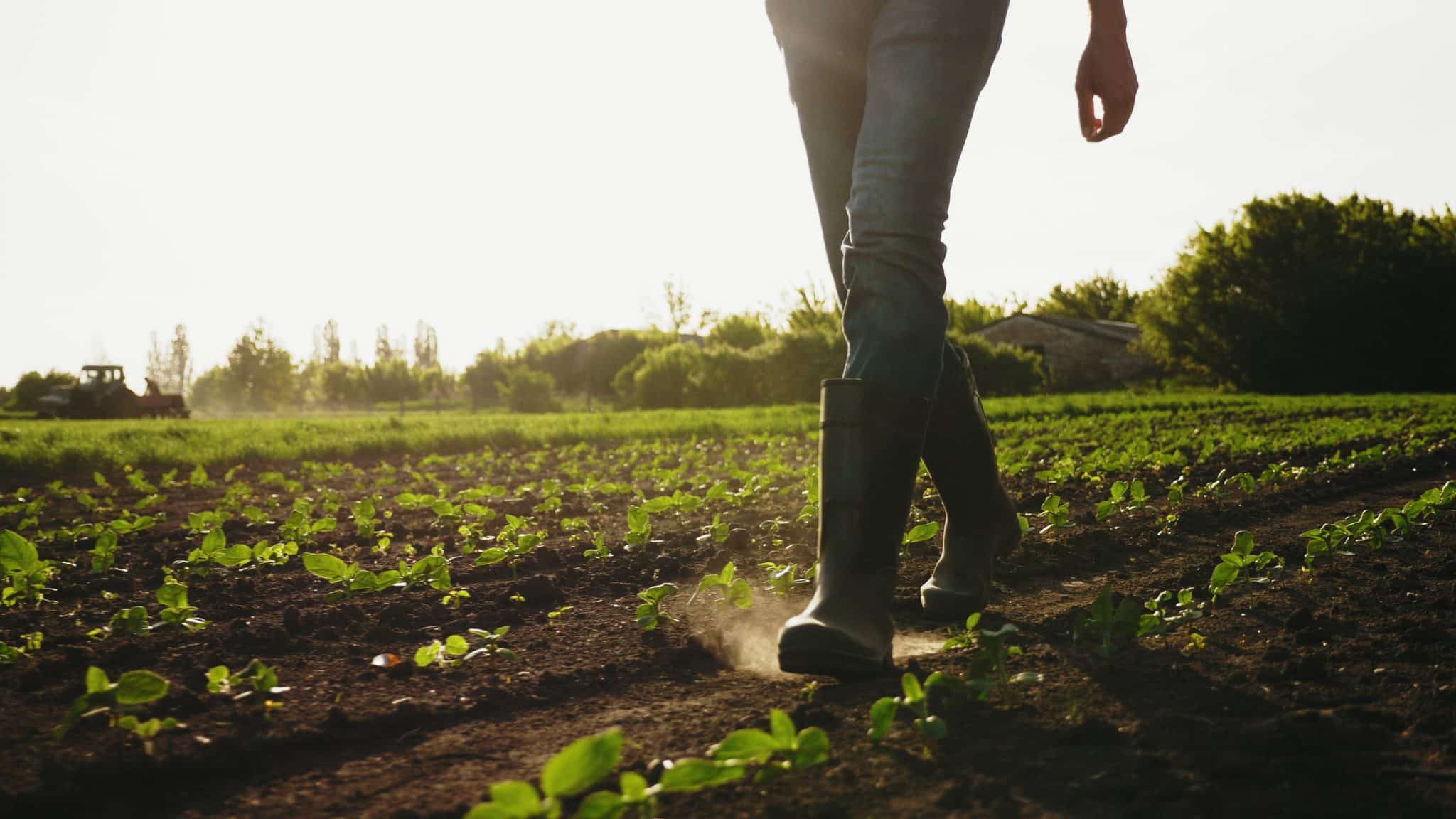 concours graines d'agriculteurs