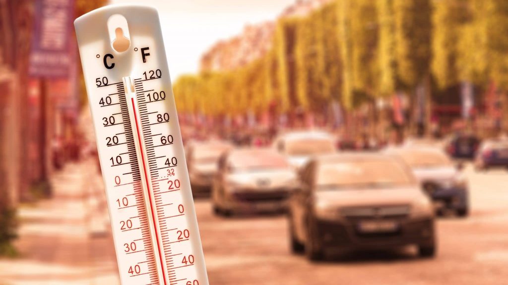 Canicule et climat : les idées reçues à mettre K.O. cet été