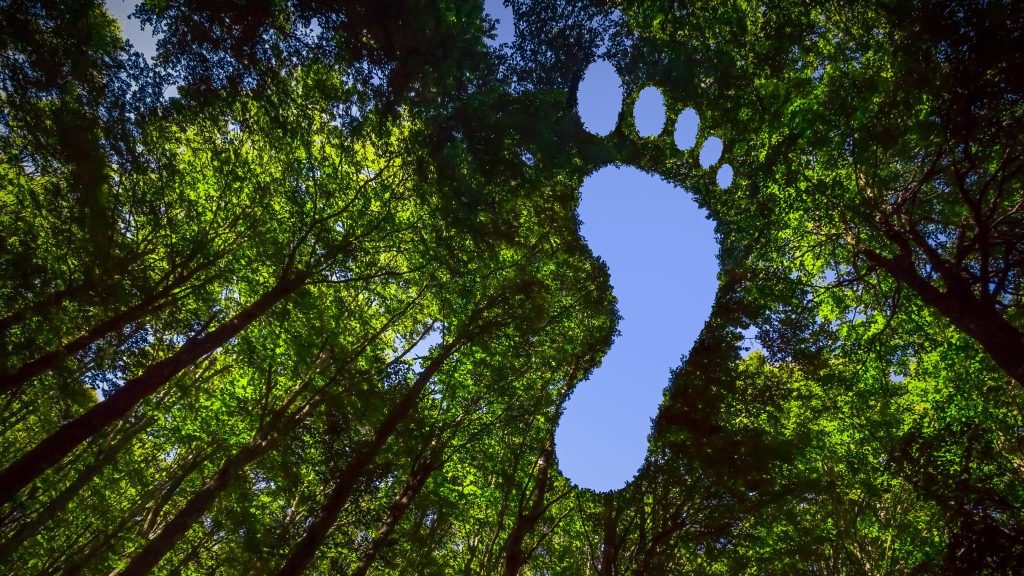 MyCO2 : des conférences pour apprendre à réduire son empreinte carbone