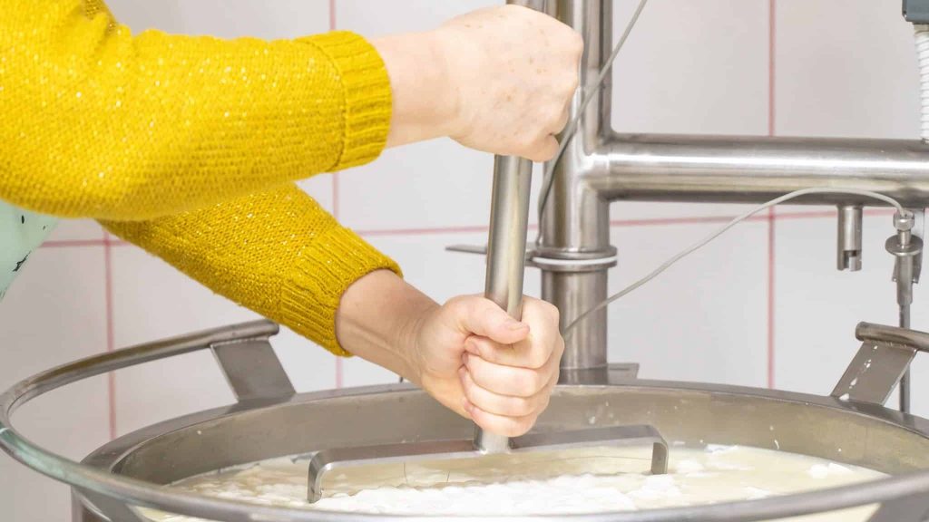 Fromage : ils sont les derniers fabricants de pourri bressan