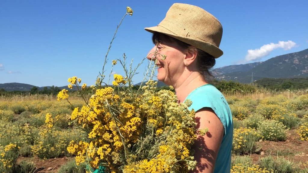 Elle tire le meilleur des plantes corses pour en faire des cosmétiques
