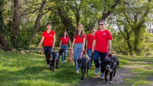 La fondation Frédéric Gaillanne offre des chiens-guides aux enfants