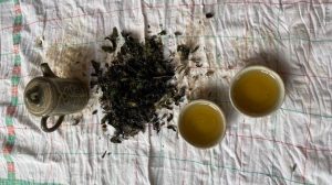 Préparation et dégustation du thé de ronce