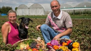 De gauche à droite, une femme, un chien, un homme accroupis au milieu d'un champ et devant leur production de légumes mêlant de nombreuses couleurs.