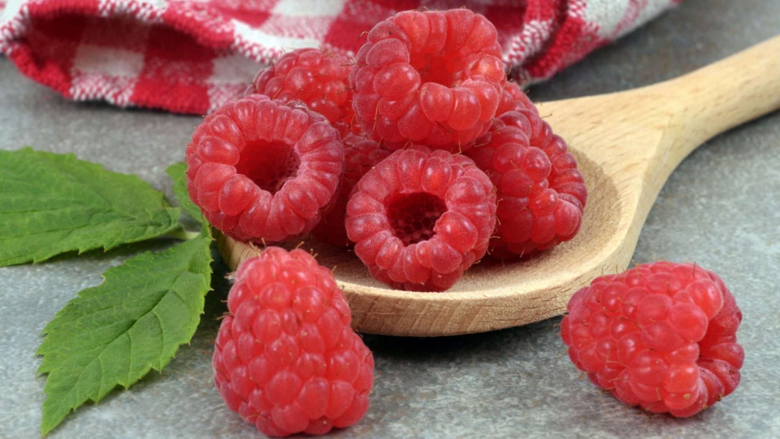 La framboise, petite baie rouge qui régale du printemps à l’automne